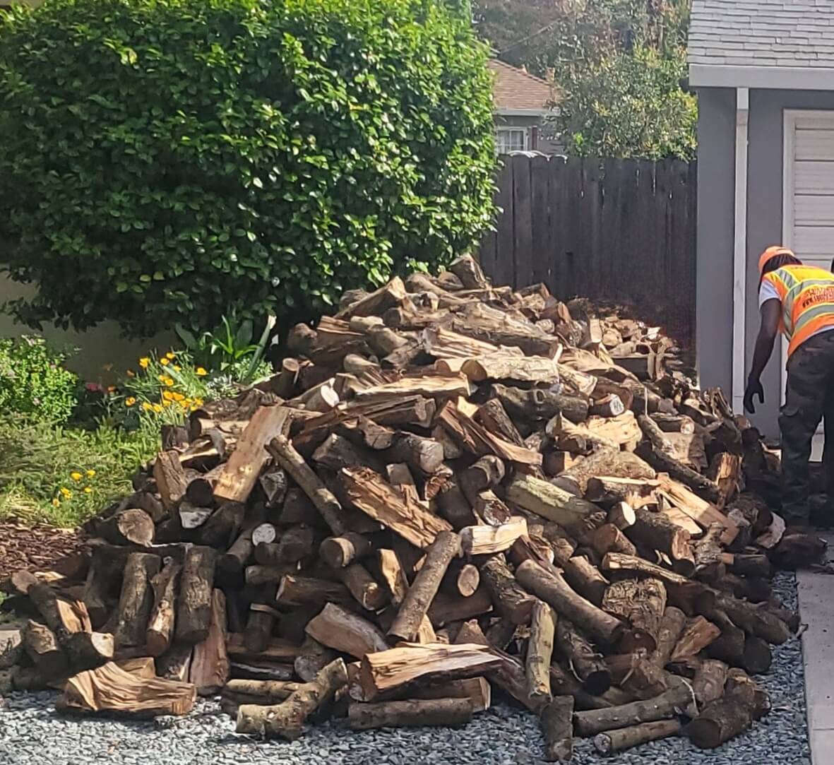 2 cord driveway drop of almond firewood in Sacramento CA.