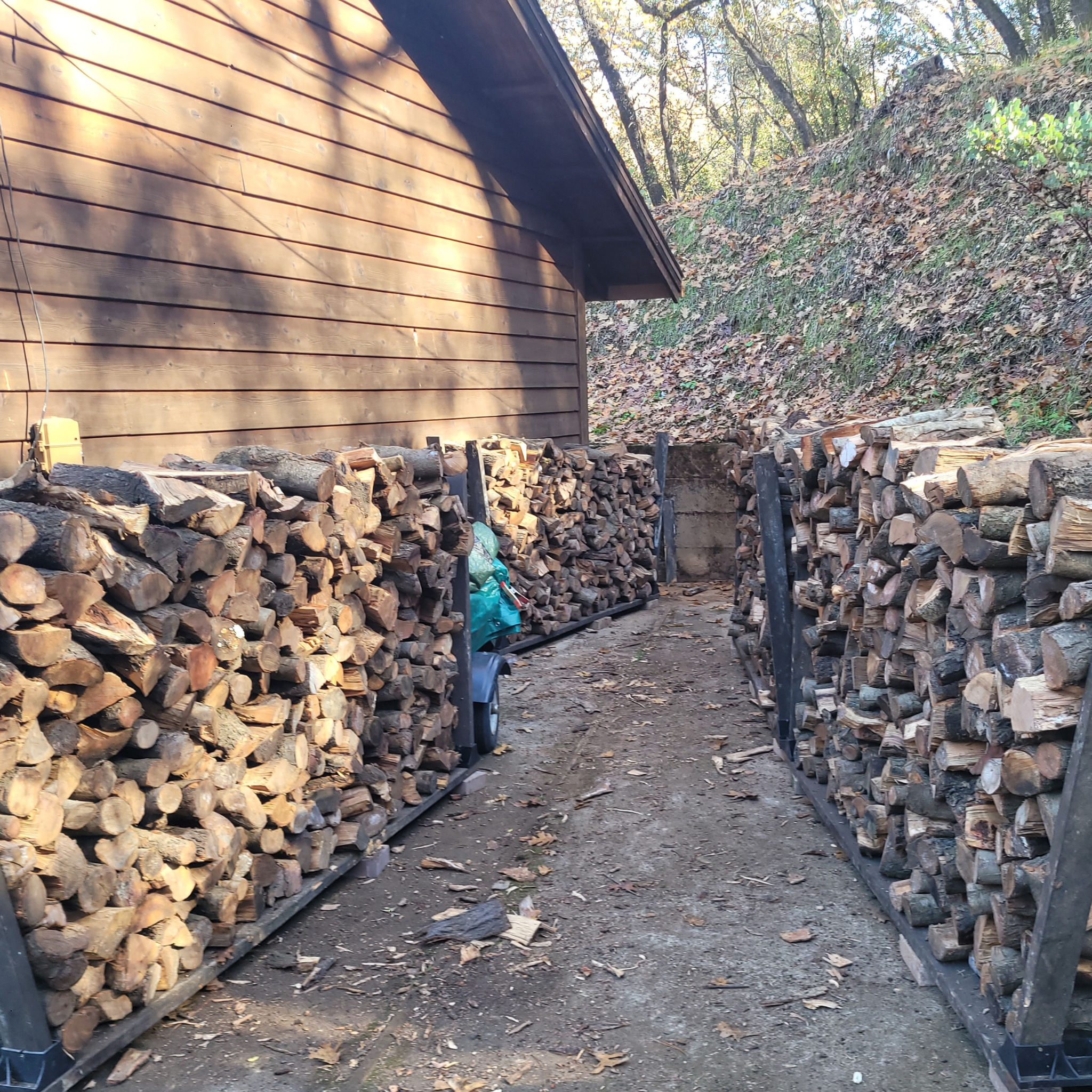 Stacks of firewood beside a house
