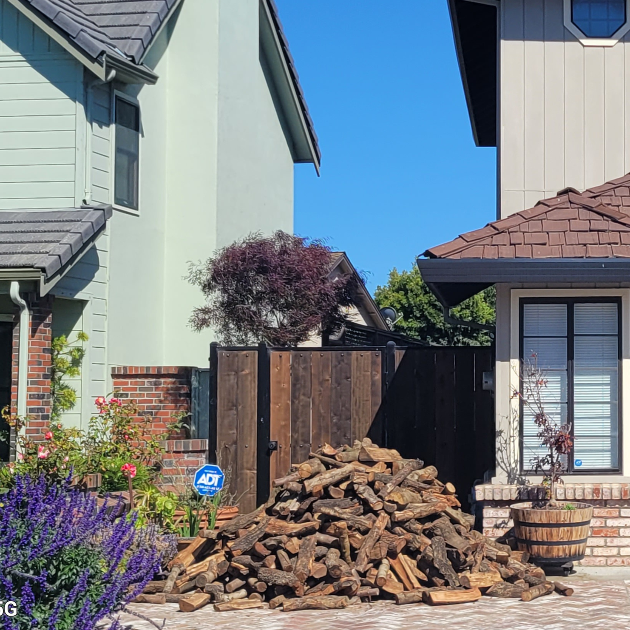 3/4 cord pile of almond firewood logs delivered in front of driveway near side yard fence in Salinas CA.
