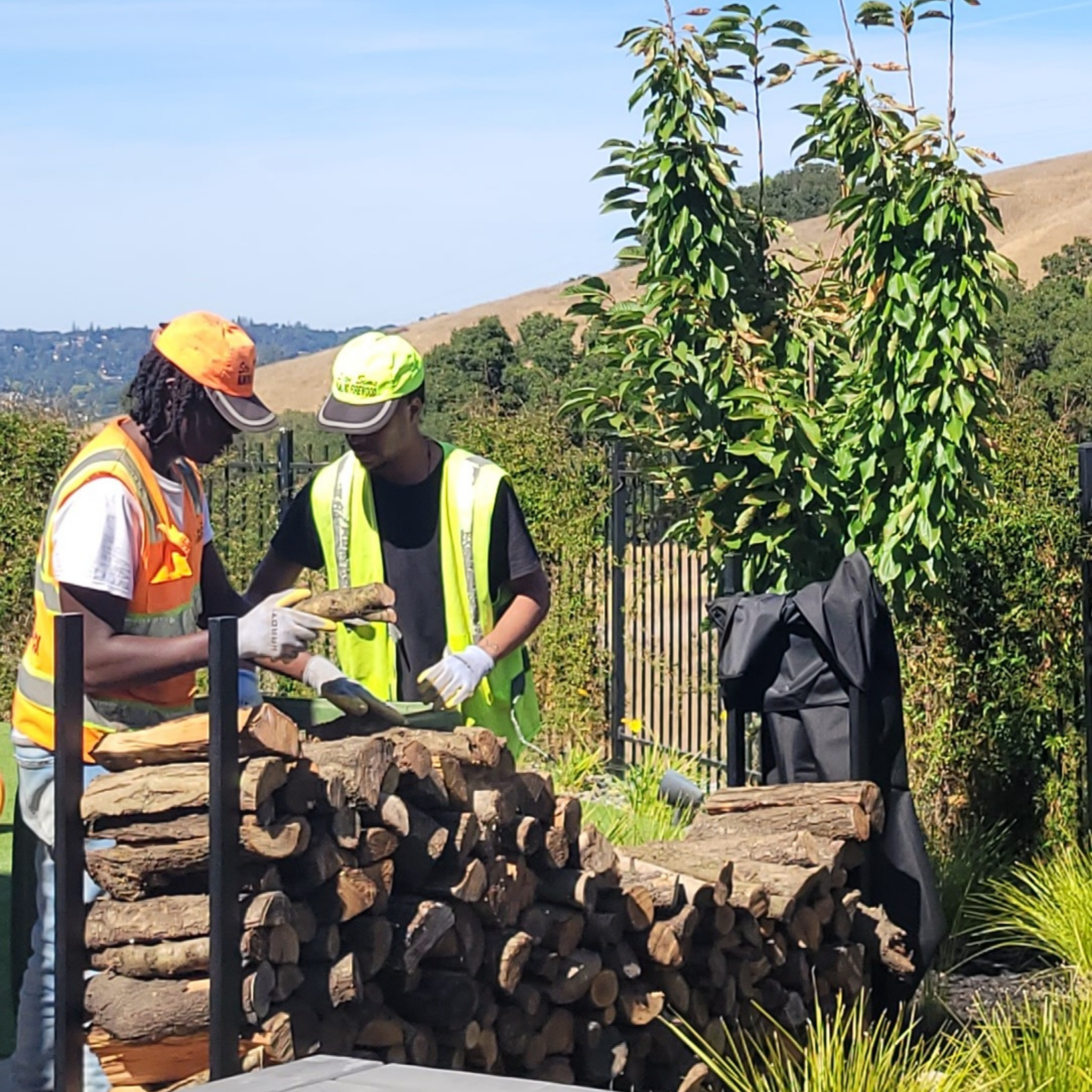 Two workers in safety vests stacking 1/3 cord of almond firewood logs in Orinda Ca.