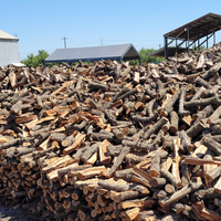<strong>Well-Seasoned & Ready to Burn</strong>